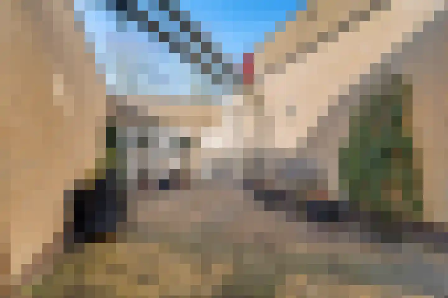 Graskers 5 Eindhoven thumbnail 27