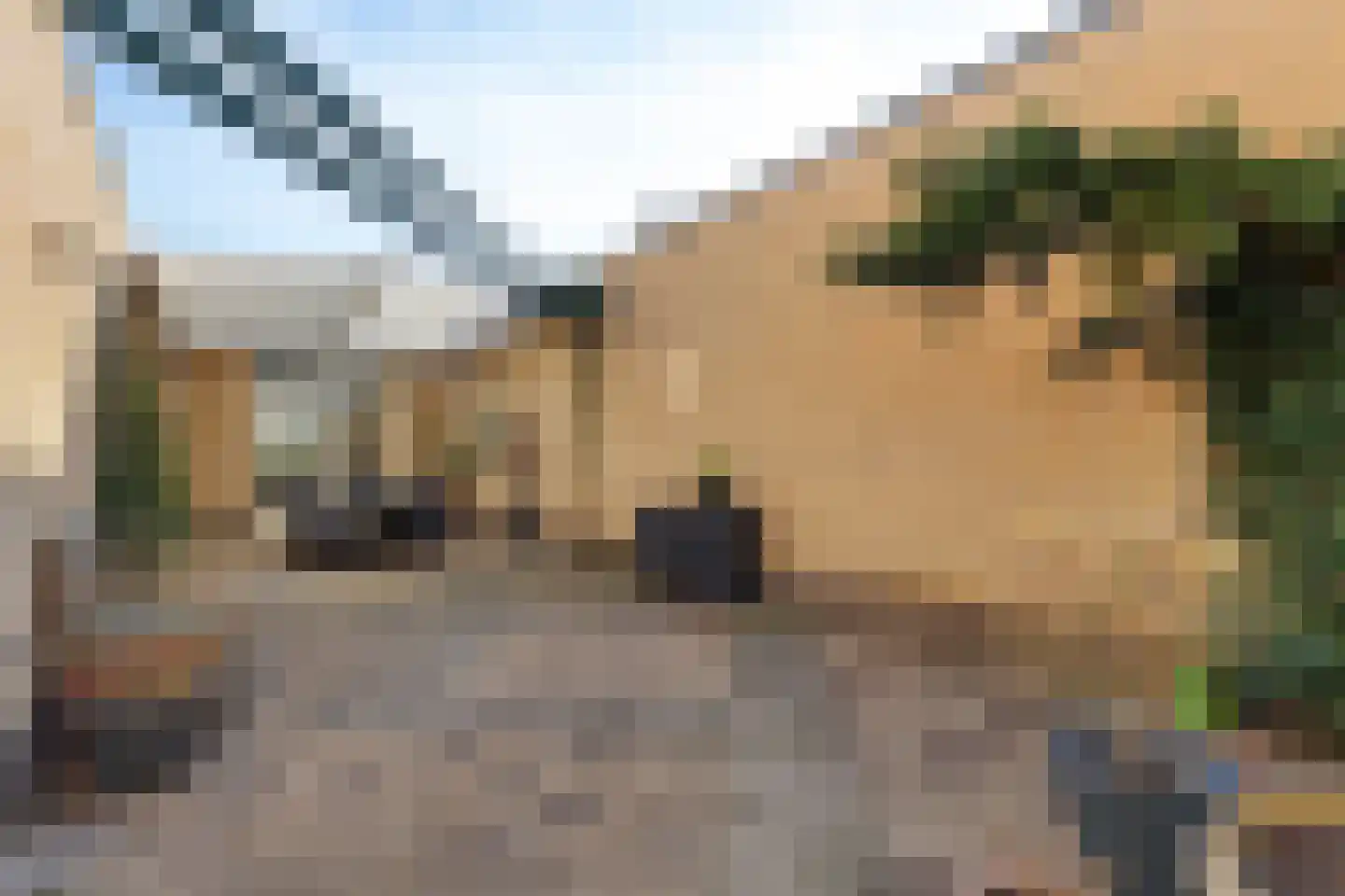 Graskers 5 Eindhoven thumbnail 28