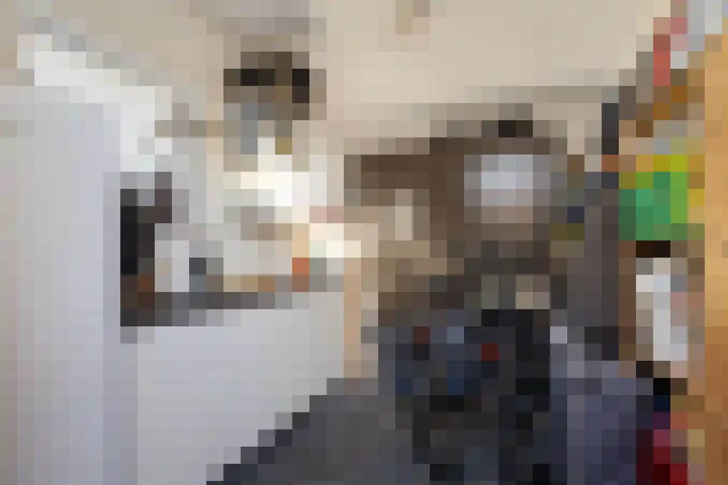 Graskers 5 Eindhoven thumbnail 30