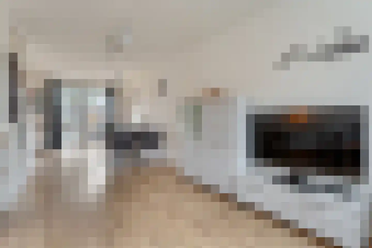 Grasklokje 1 Hardenberg thumbnail 10