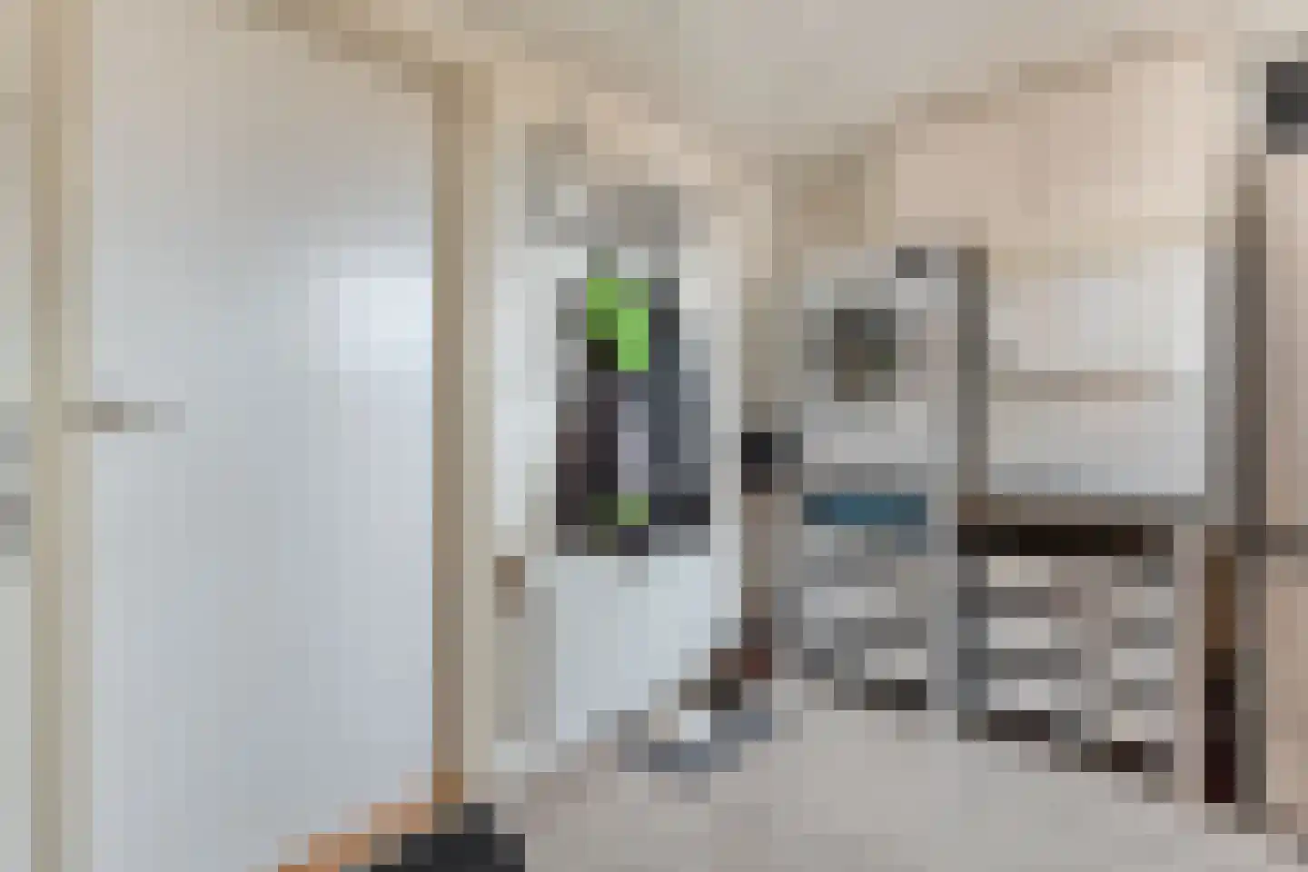 Grasklokje 1 Hardenberg thumbnail 17