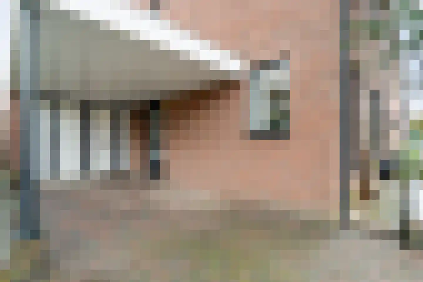 Grasklokje 1 Hardenberg foto 3