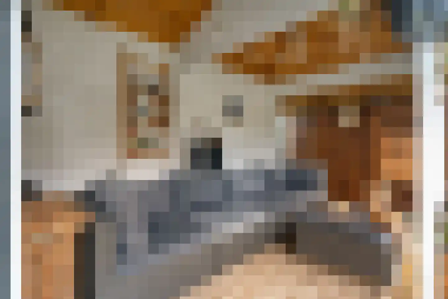 Grasklokje 1 Hardenberg thumbnail 35