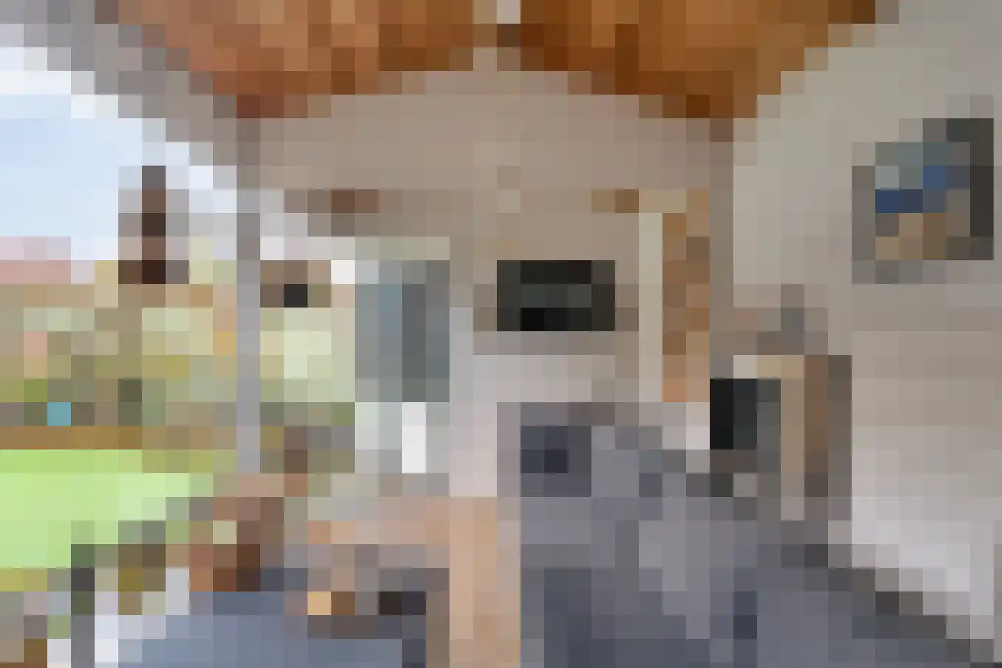 Grasklokje 1 Hardenberg thumbnail 36