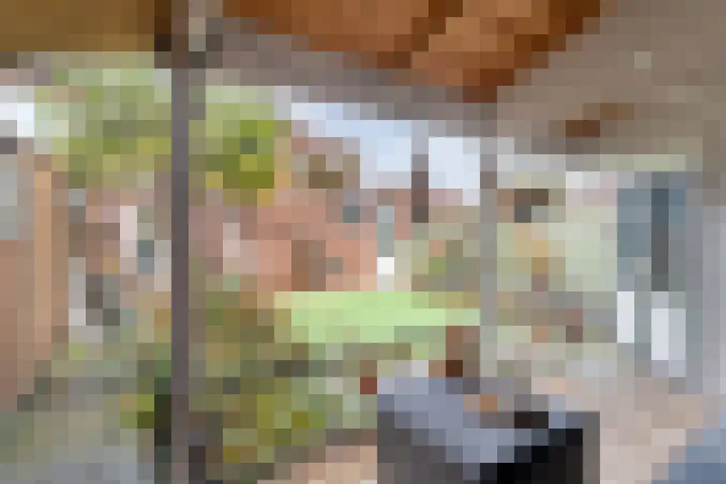 Grasklokje 1 Hardenberg thumbnail 37