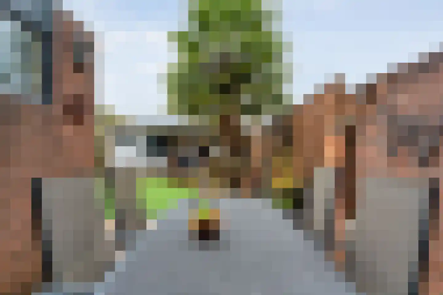 Grasklokje 1 Hardenberg thumbnail 38