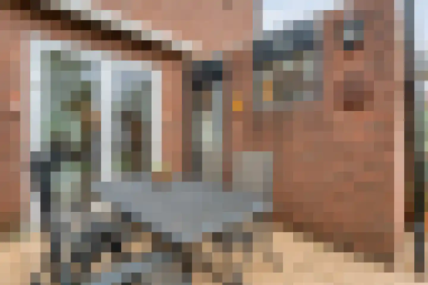 Grasklokje 1 Hardenberg thumbnail 39