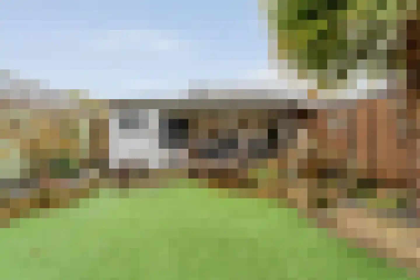 Grasklokje 1 Hardenberg thumbnail 41