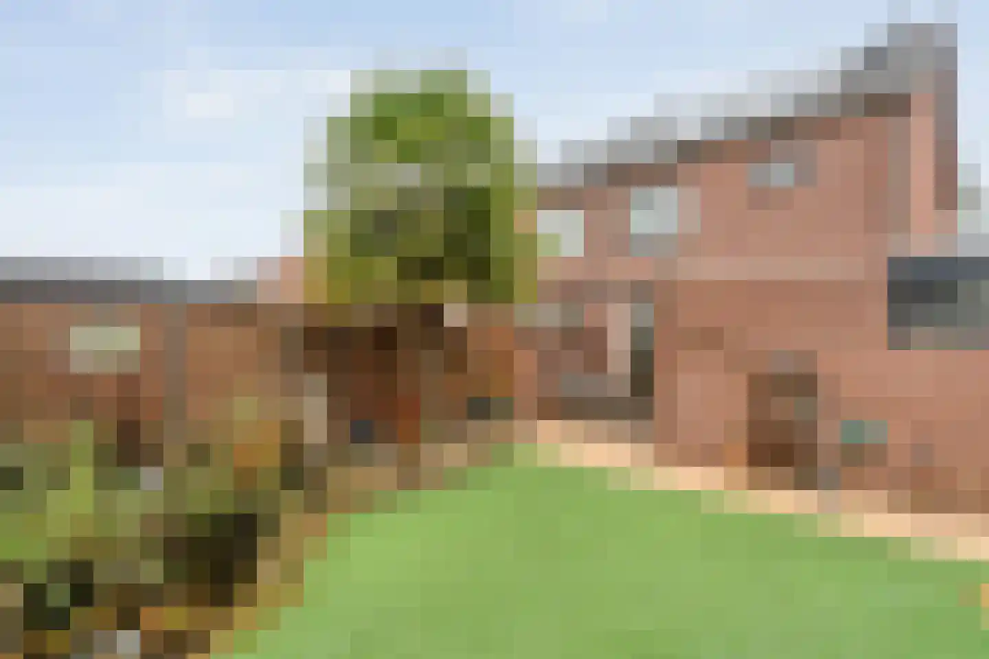 Grasklokje 1 Hardenberg thumbnail 42