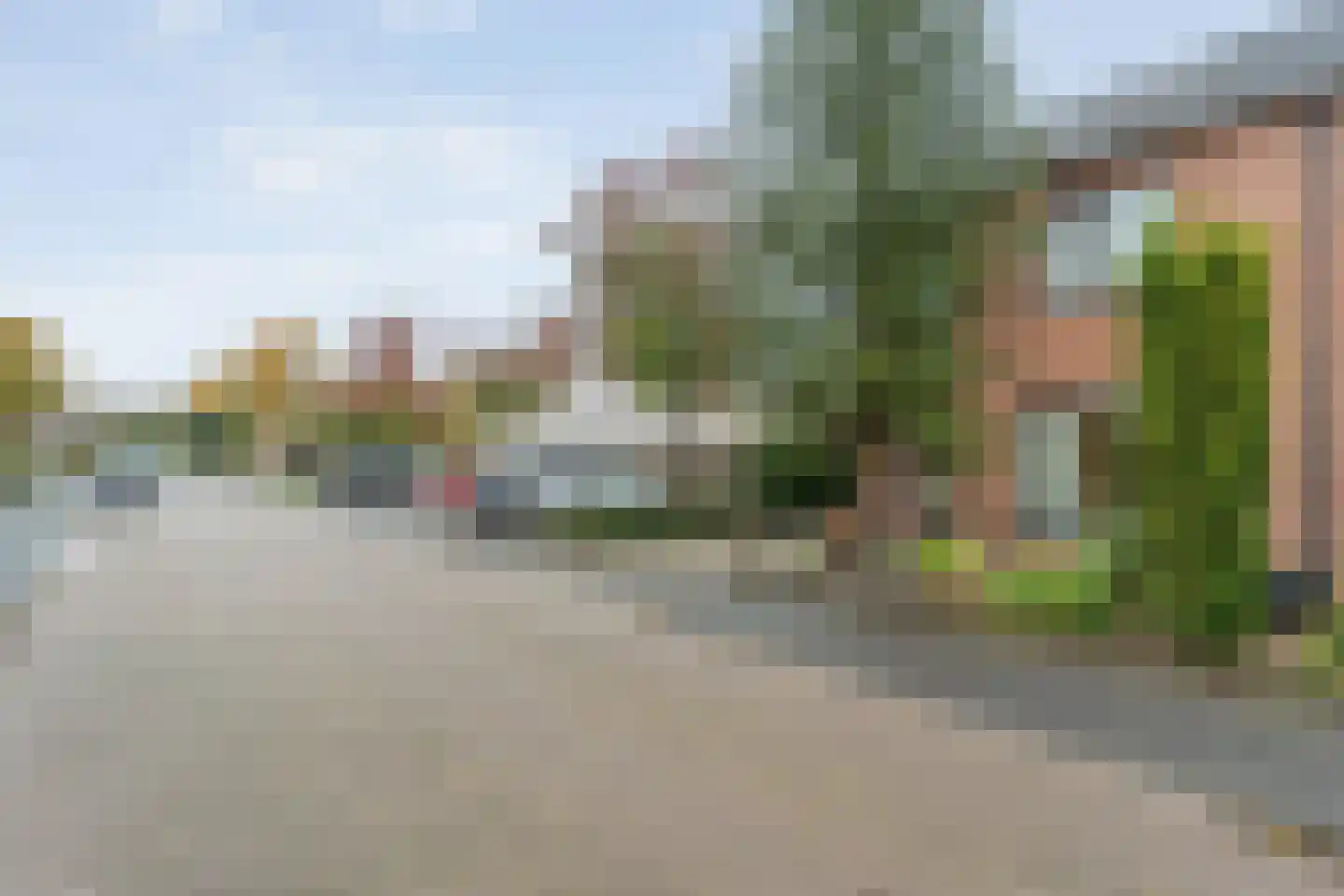 Grasklokje 1 Hardenberg thumbnail 44