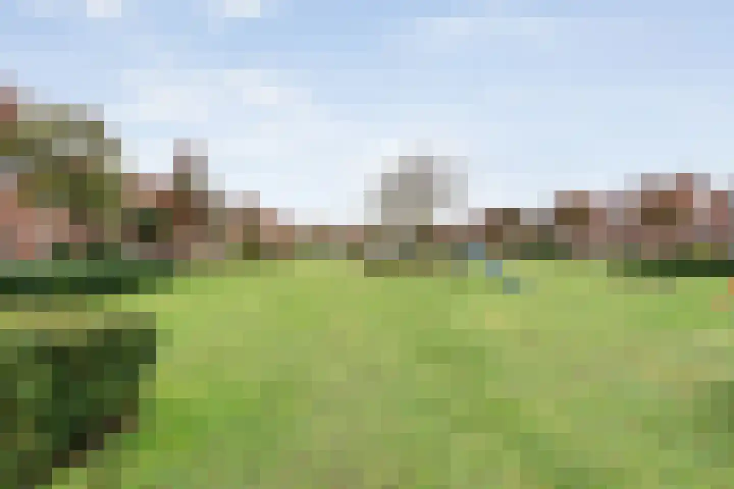 Grasklokje 1 Hardenberg thumbnail 47