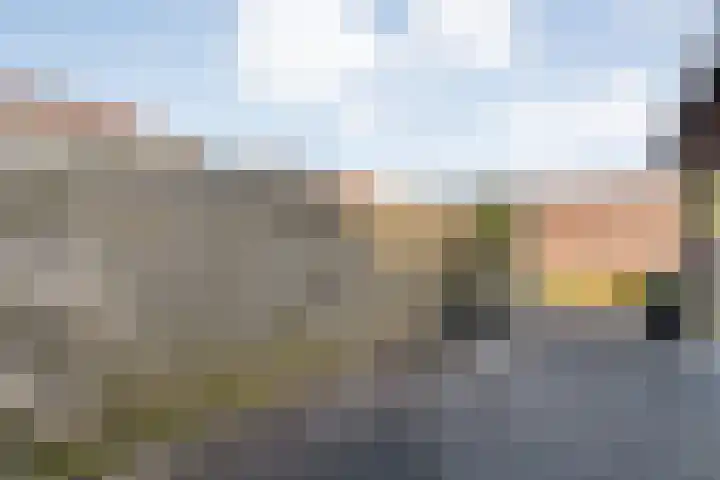 Grasklokje 10 Hardenberg thumbnail 31