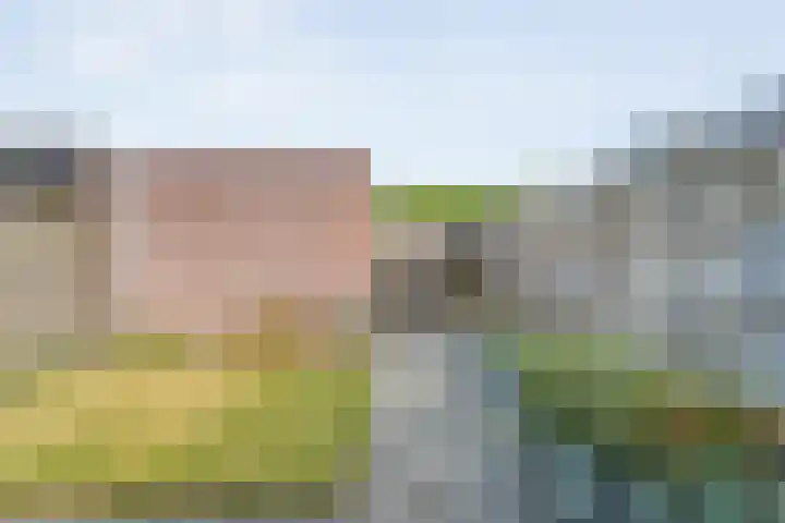 Grasklokje 10 Hardenberg thumbnail 32
