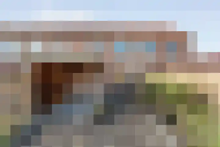 Grasklokje 10 Hardenberg thumbnail 37
