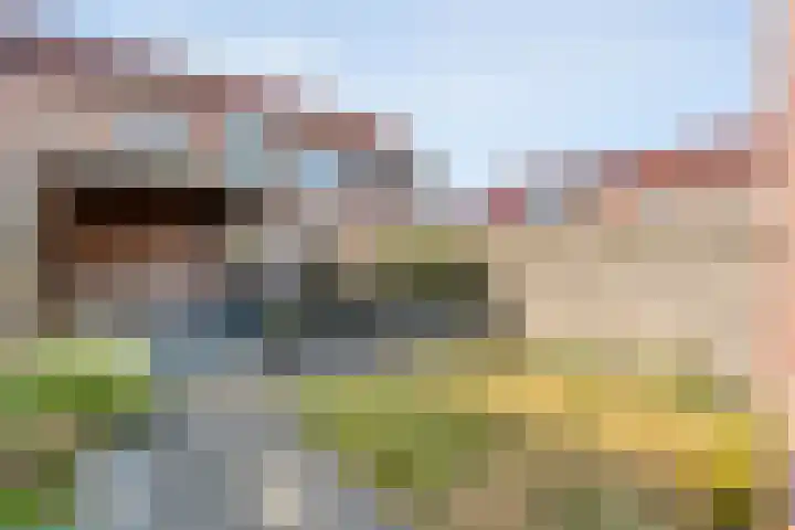 Grasklokje 10 Hardenberg thumbnail 38