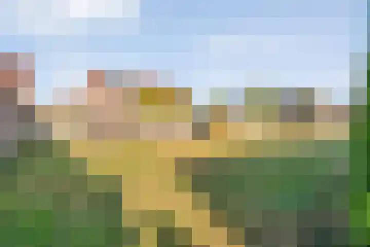 Grasklokje 10 Hardenberg thumbnail 39
