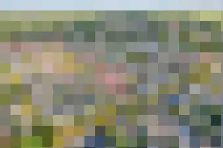 Grasklokje 10 Hardenberg thumbnail 4