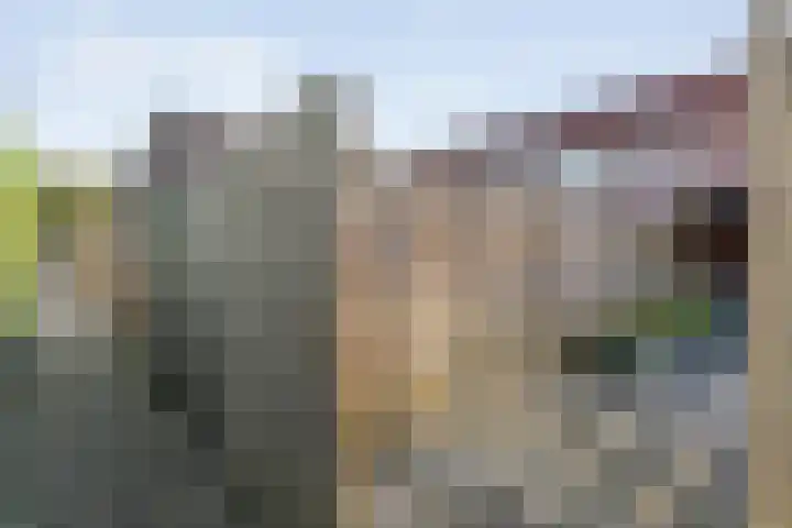 Grasklokje 10 Hardenberg thumbnail 40