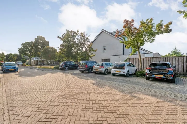 Grasklokje 10 Hardenberg thumbnail 41