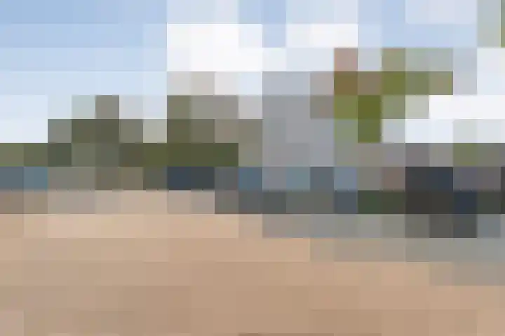 Grasklokje 10 Hardenberg thumbnail 41