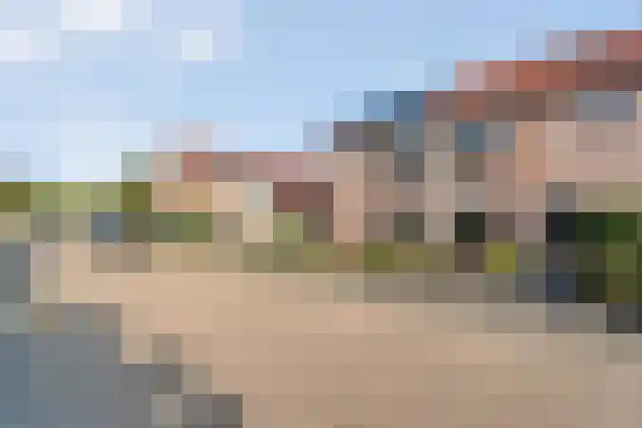 Grasklokje 10 Hardenberg thumbnail 5