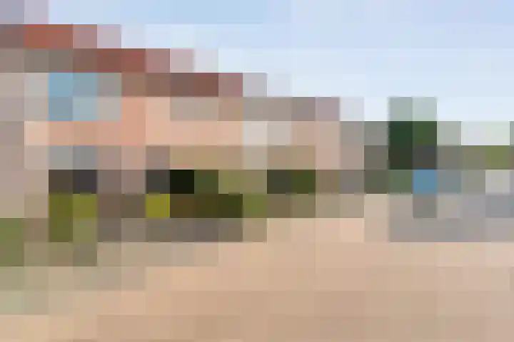 Grasklokje 10 Hardenberg thumbnail 6