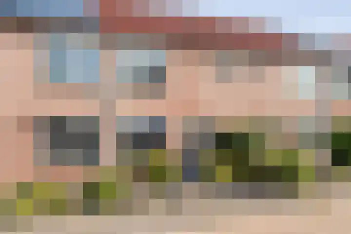 Grasklokje 10 Hardenberg thumbnail 7