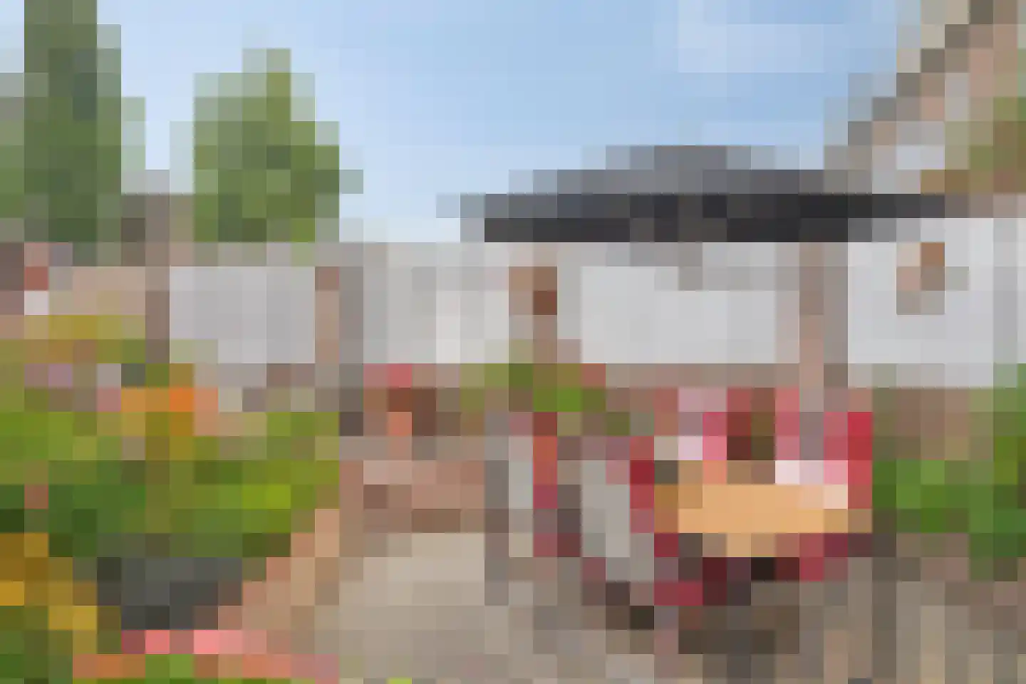 Grasklokje 102 Best thumbnail 39