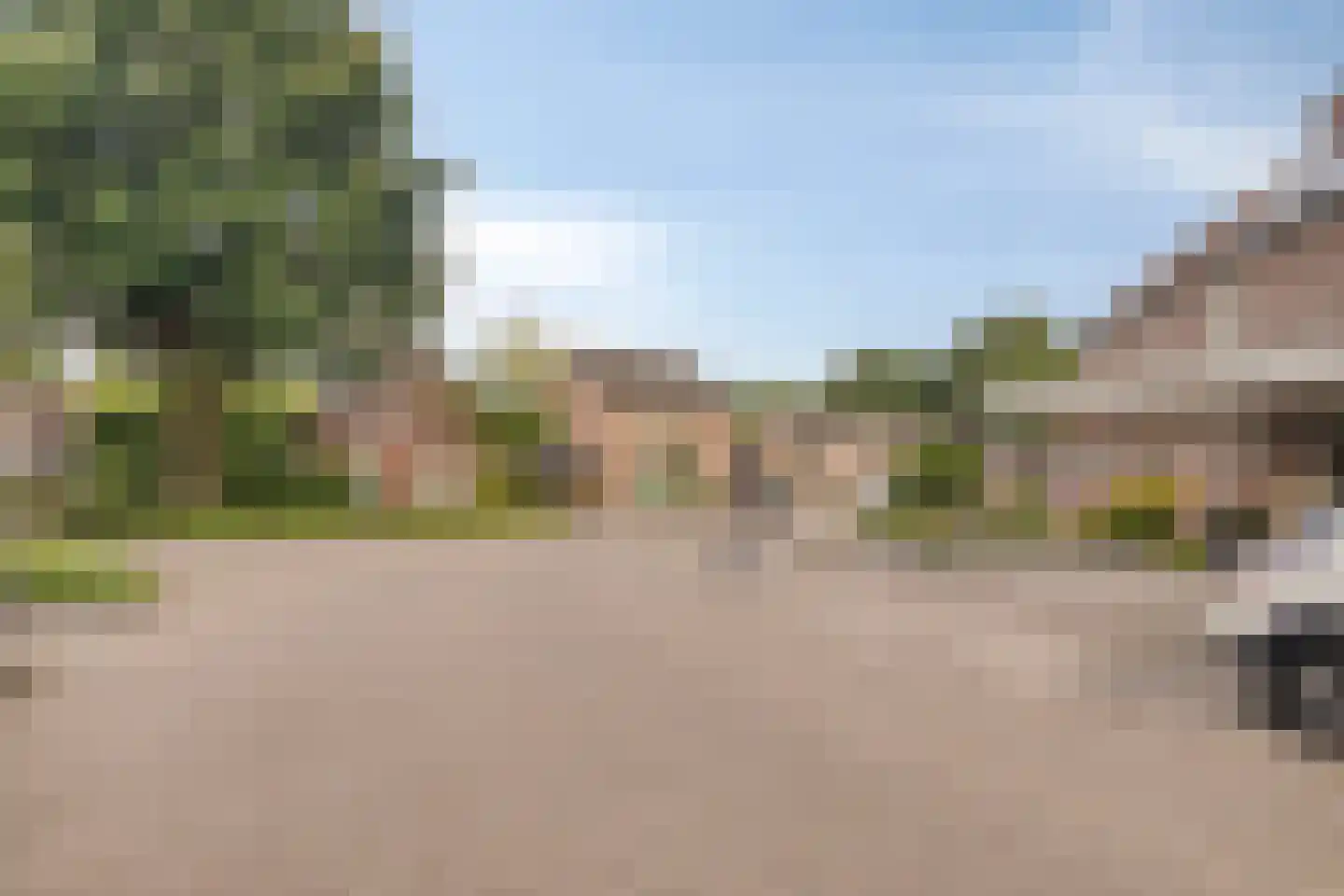 Grasklokje 102 Best thumbnail 4
