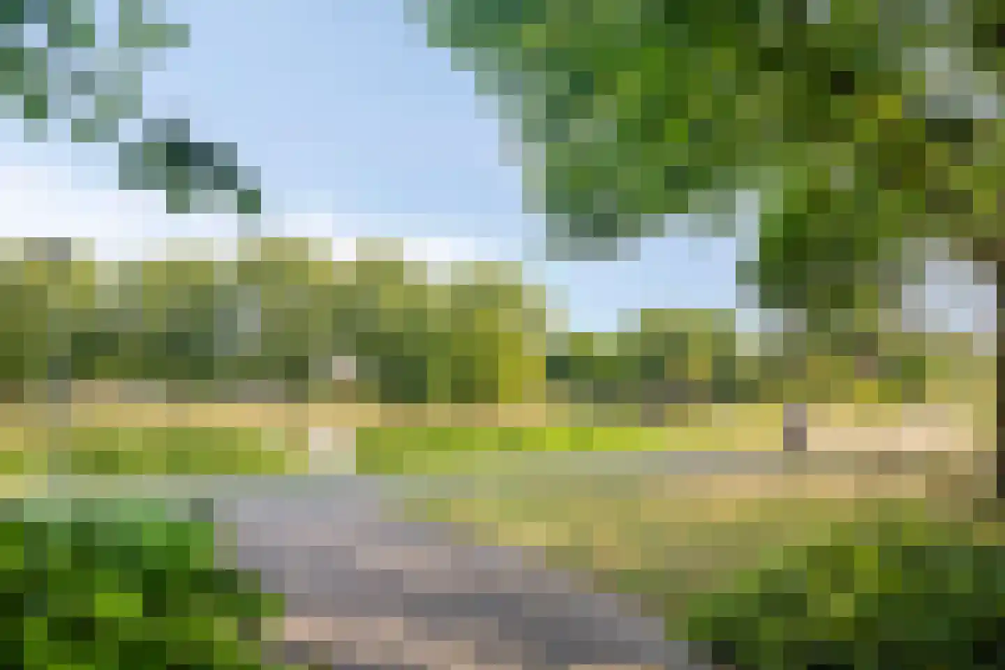 Grasklokje 102 Best thumbnail 41