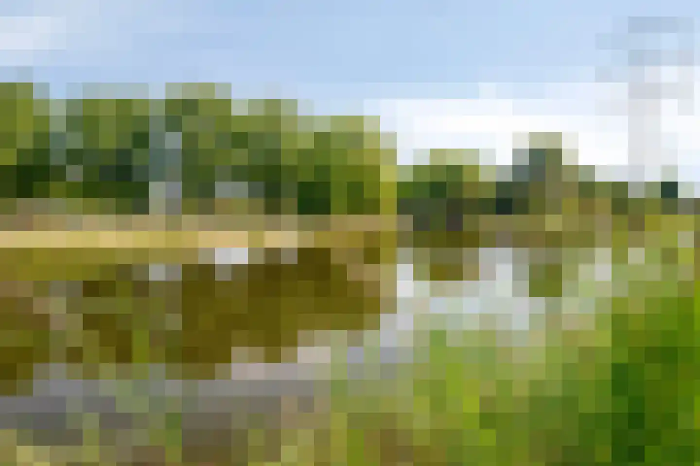 Grasklokje 102 Best thumbnail 42