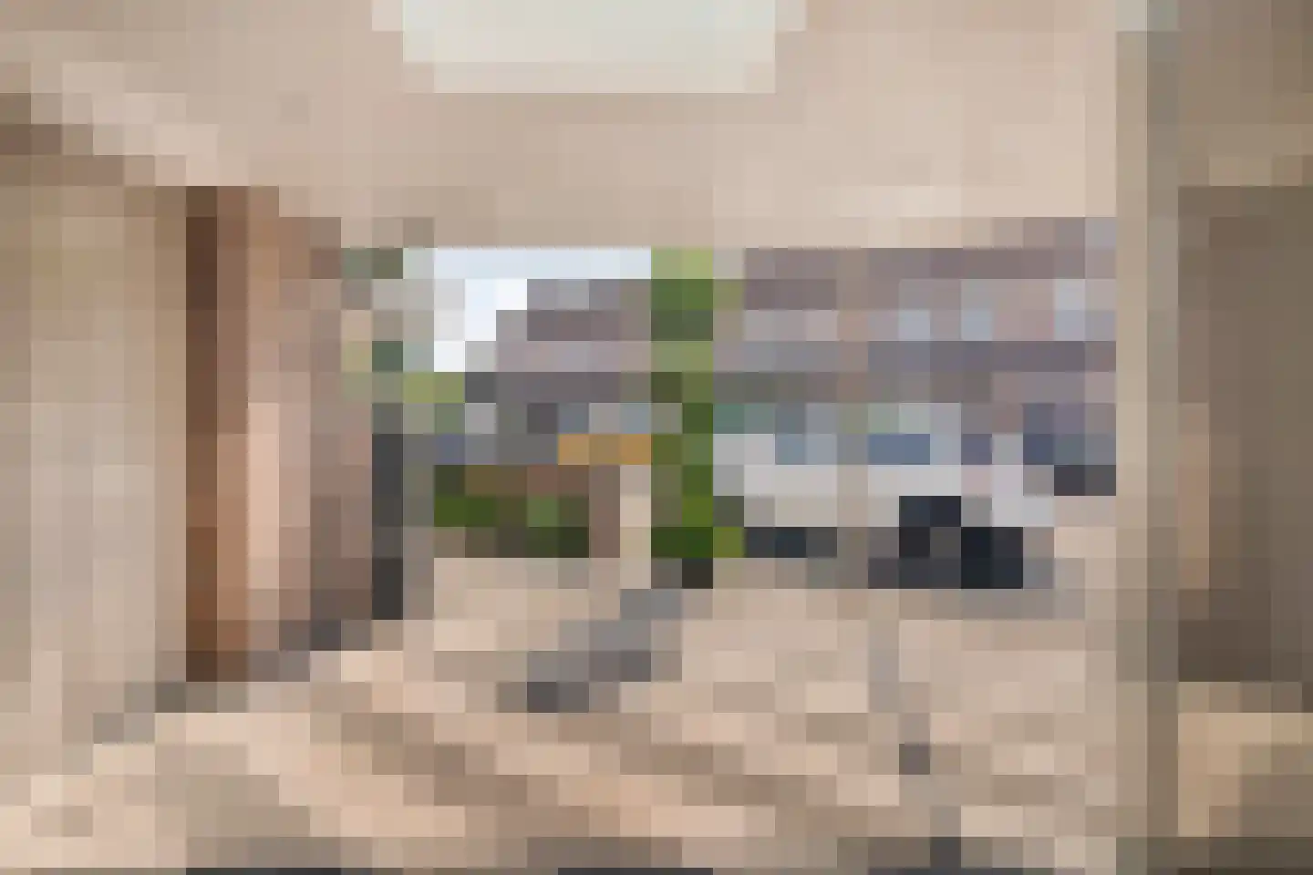 Grasklokje 102 Best thumbnail 6