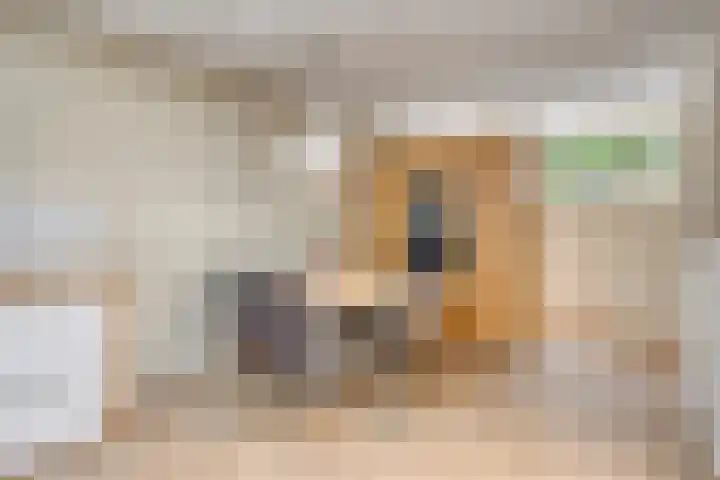 Grasklokje 112 Best thumbnail 18