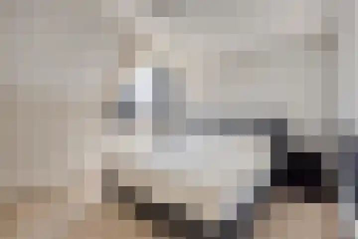 Grasklokje 112 Best thumbnail 21