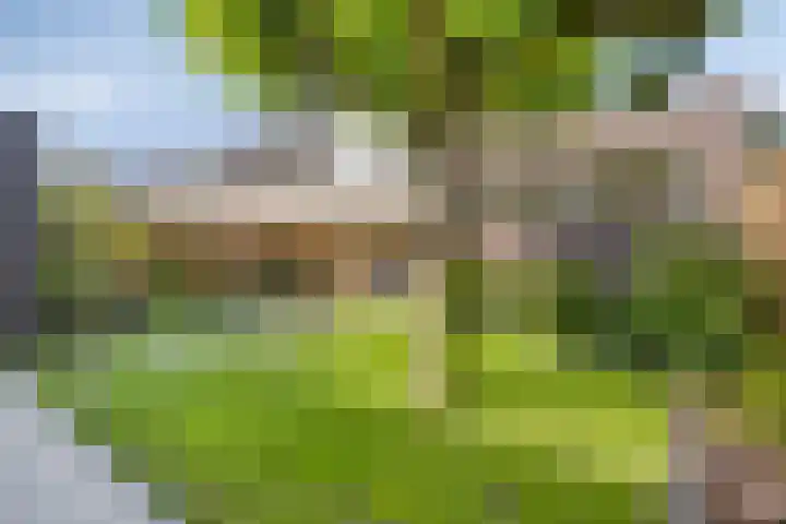 Grasklokje 112 Best thumbnail 36