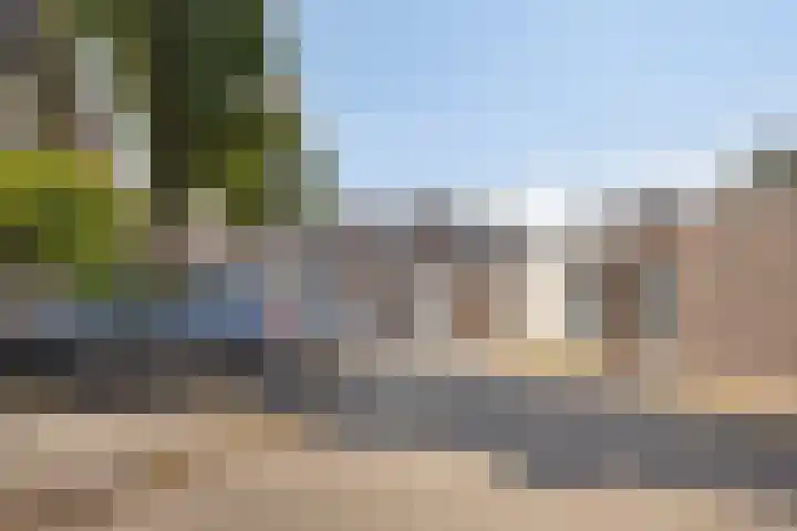 Grasklokje 112 Best thumbnail 41