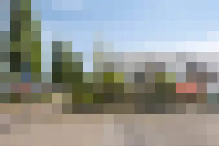 Grasklokje 112 Best thumbnail 50