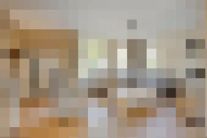 Grasklokje 112 Best thumbnail 7