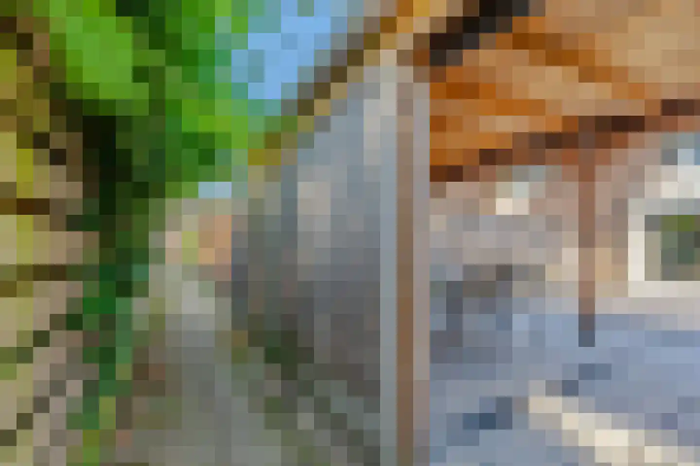 Grasklokje 14 Dalfsen thumbnail 36