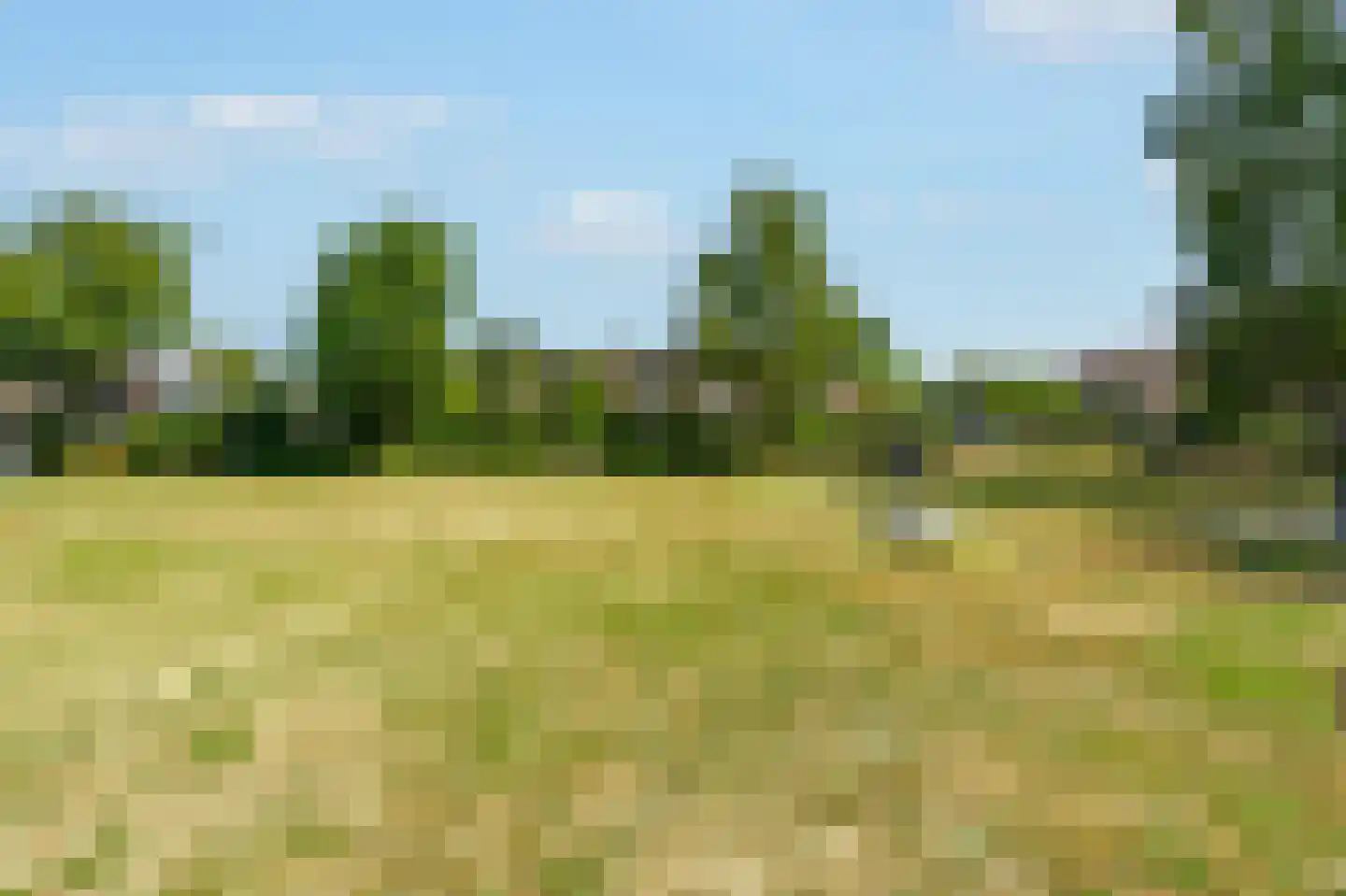 Grasklokje 14 Dalfsen thumbnail 40