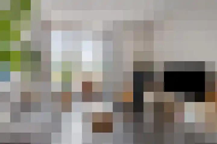 Grasklokje 17 Eindhoven thumbnail 10