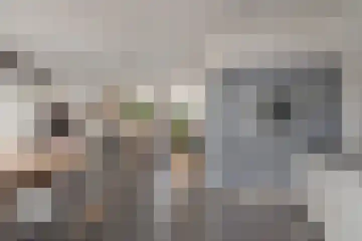 Grasklokje 17 Eindhoven thumbnail 14
