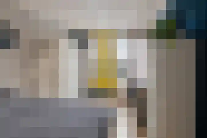 Grasklokje 17 Eindhoven thumbnail 18
