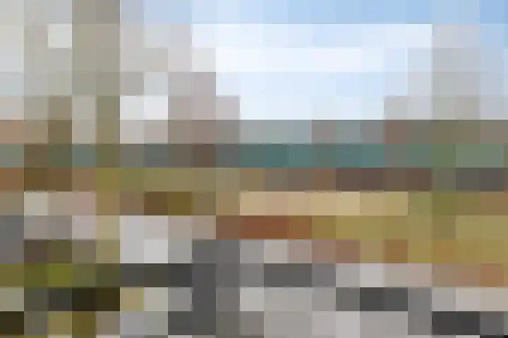Grasklokje 17 Eindhoven thumbnail 19