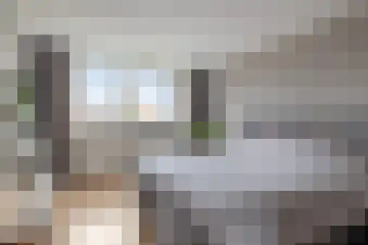 Grasklokje 17 Eindhoven thumbnail 20