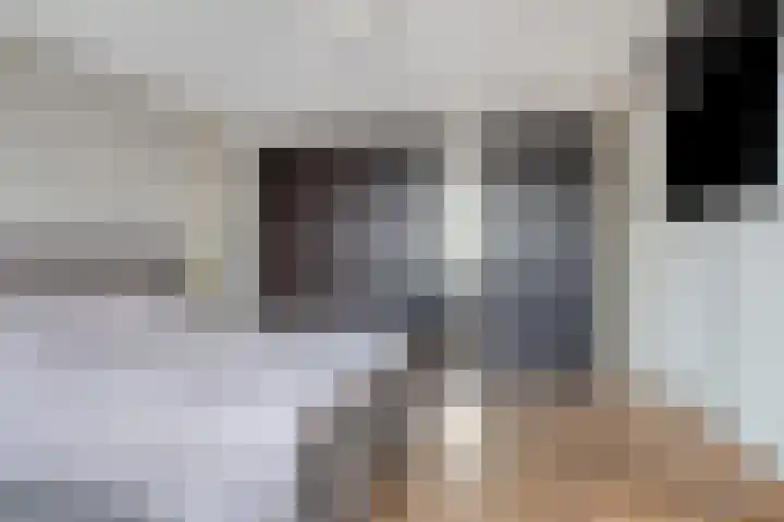 Grasklokje 17 Eindhoven thumbnail 21