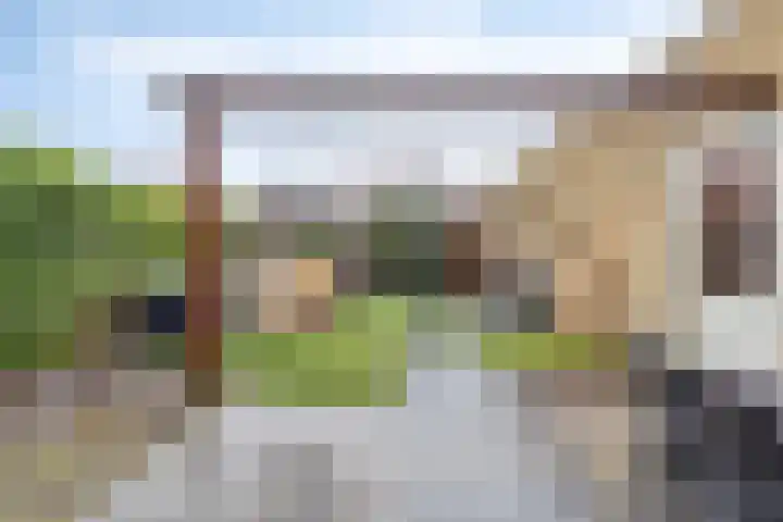 Grasklokje 17 Eindhoven thumbnail 32