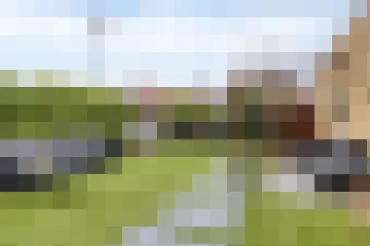 Grasklokje 17 Eindhoven thumbnail 33