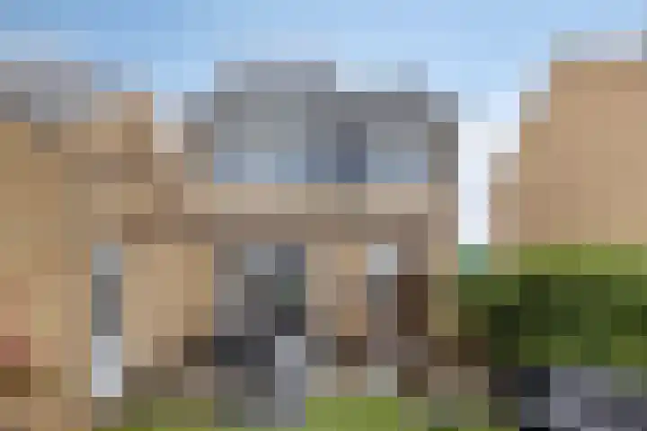 Grasklokje 17 Eindhoven thumbnail 34