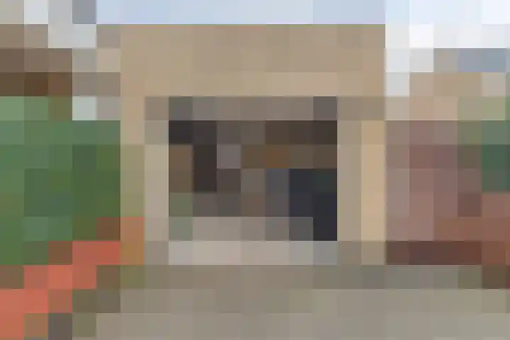 Grasklokje 17 Eindhoven thumbnail 35